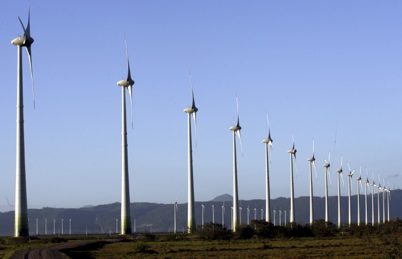 © Reuters. Visão geral de parque eólico em Osório, no Rio Grande do Sul