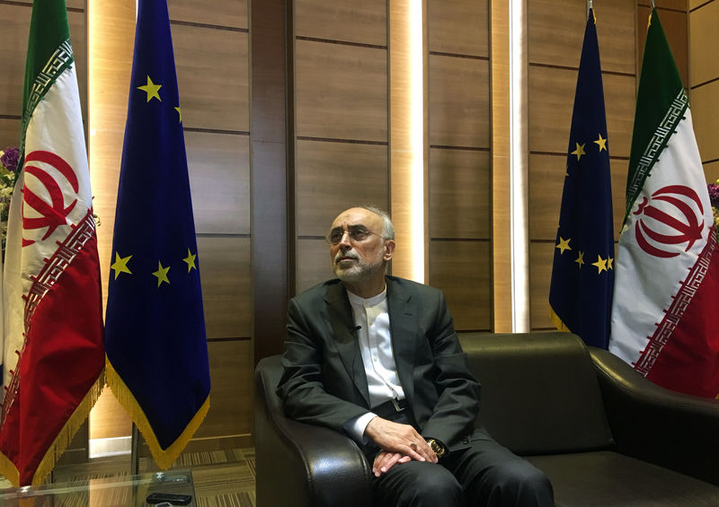 © Reuters. Iran's nuclear chief Ali Akbar Salehi speaks with foreign press after meeting with the European Commissioner for Energy and Climate, Miguel Arias Canete, in Tehran