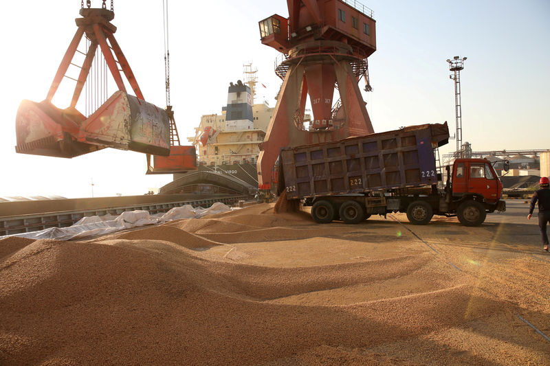 © Reuters. FILE PHOTO: Workers transport imported soybeans at a port in Nantong