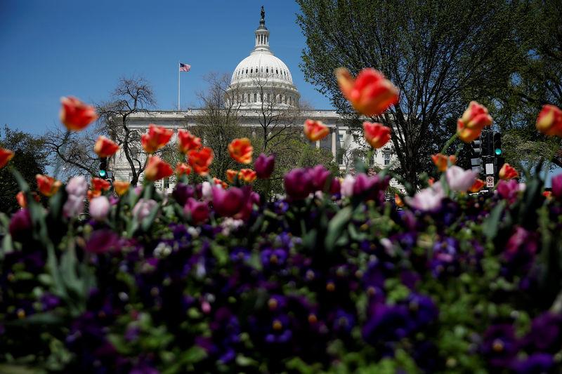 © Reuters. The Capitol dome is seen amongst blooming flowers in Washington