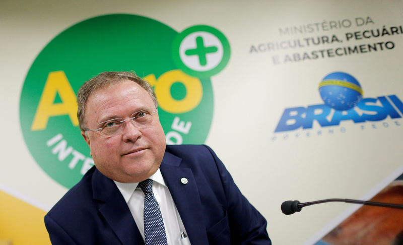 © Reuters. FILE PHOTO: Brazil's Agriculture Minister Blairo Maggi attends a news conference in Brasilia