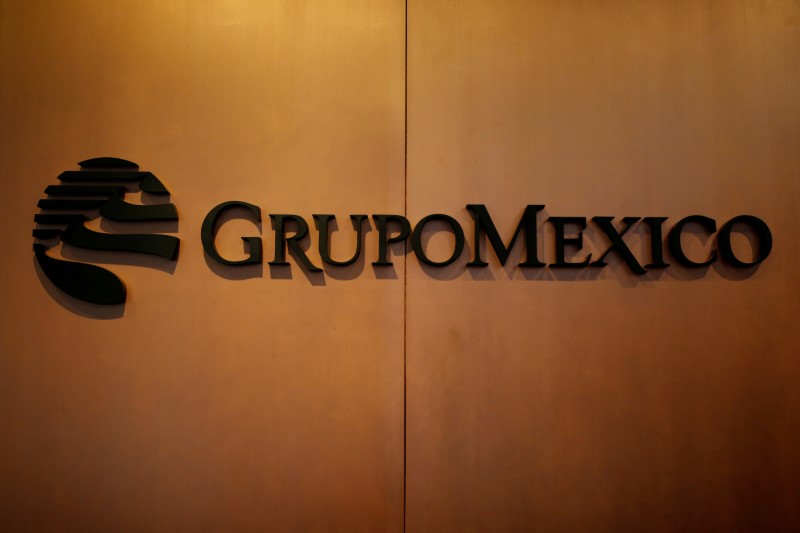 © Reuters. FILE PHOTO: Logo of mining and infrastructure firm Grupo Mexico is pictured at its headquarters in Mexico City