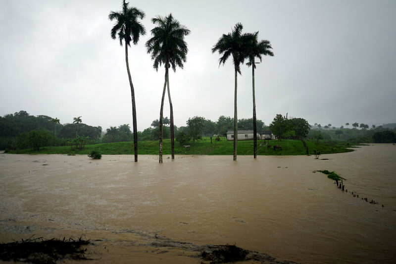 © Reuters. Miles de personas evacúan mientras la tormenta Alberto avanza hacia Florida