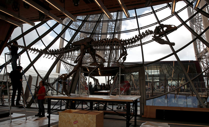 © Reuters. Esqueleto de dinossauro é exibido na torre Eiffel antes de leilão