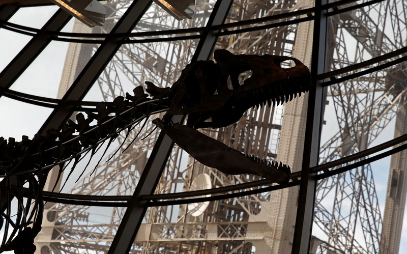 © Reuters. Subastan en París un esqueleto de un misterioso dinosaurio carnívoro por más de 2 millones de dólares