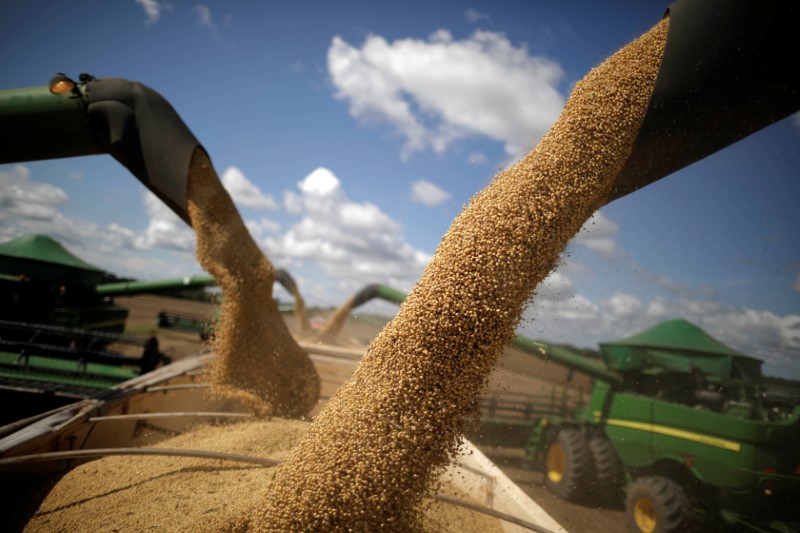 © Reuters. Máquinas de colheita em Caseara, Tocantins