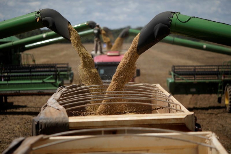 © Reuters. Colheitadeiras em fazenda de Caseara, no Tocantins