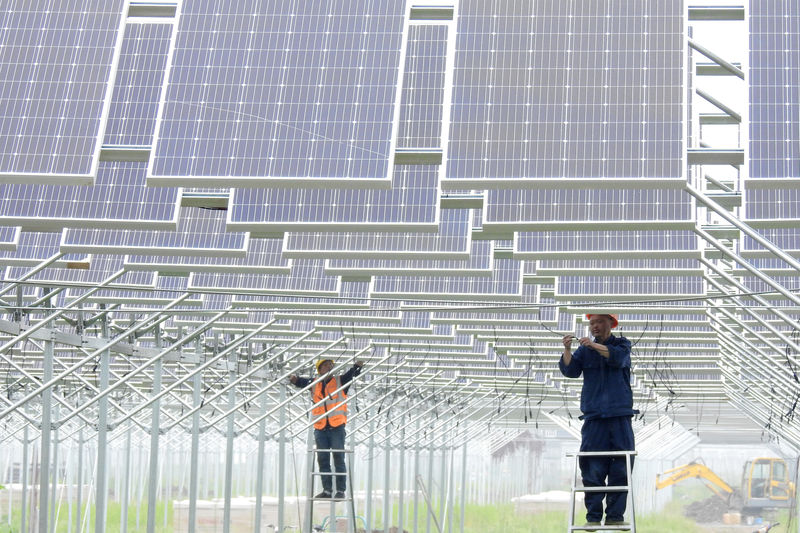 © Reuters. Workers install solar panels in Lianyungang