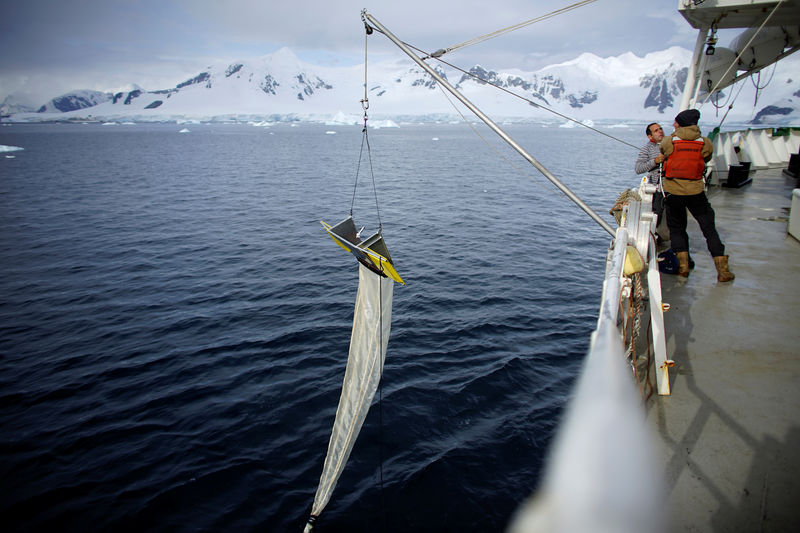 © Reuters. Los residuos en la Antártida revelan la contaminación global, dice Greenpeace