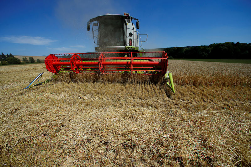 © Reuters. A farmer harvests wheat near Usingen