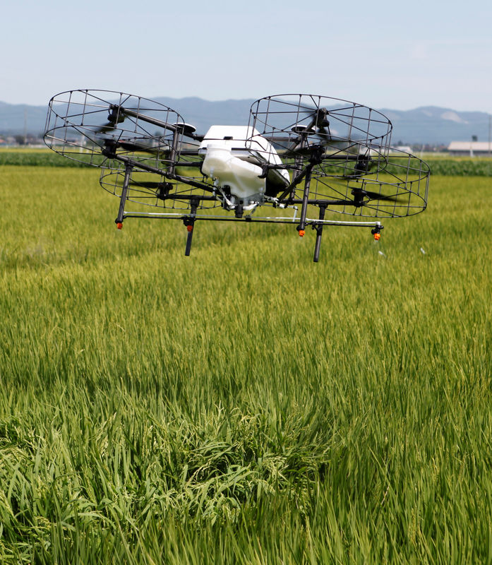© Reuters. Nileworks Inc.'s automated drone flies over rice plants, spraying pesticide while diagnosing growth of individual rice stalks, during a demonstration in Tome