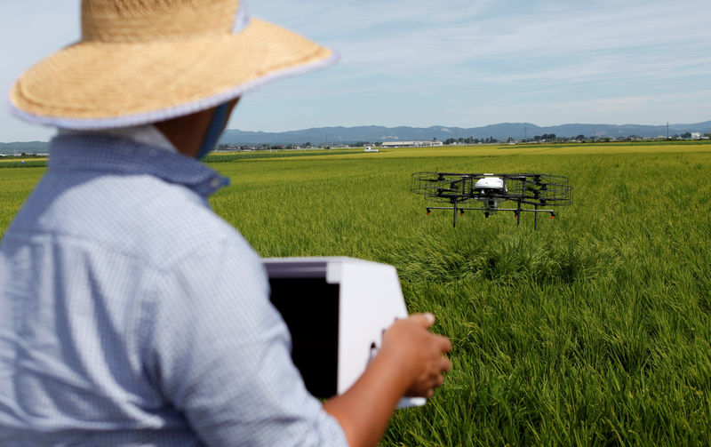 © Reuters. Drone automatizado da Nileworks Inc. voa sobre plantação de arroz no Japão