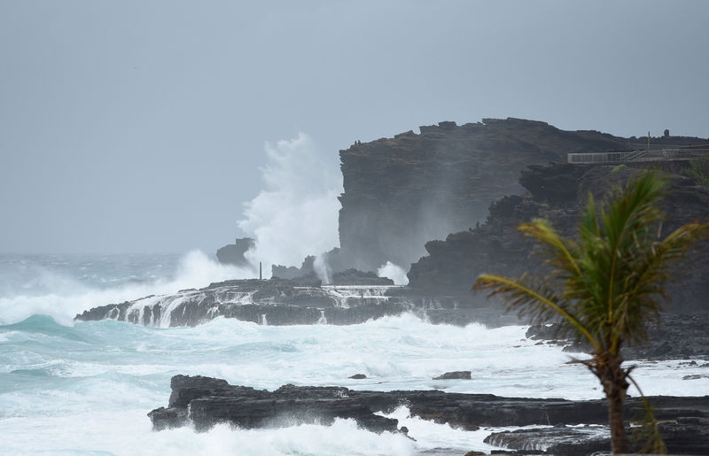 © Reuters. Choque de olas en la costa oriental de Oahu mientras el huracán Lane se aproxima a Honolulu