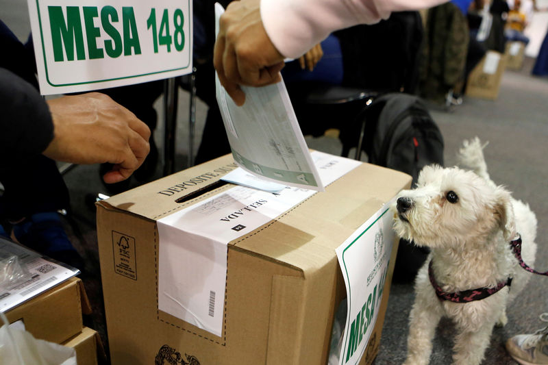 © Reuters. Un perro junto a una persona que participa en el referendo de siete preguntas sobre medidas anticorrupción en Bogotá, Colombia