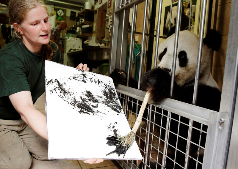 © Reuters. حديقة حيوان في فيينا تجتذب الزوار بحيوان باندا موهوب في الرسم