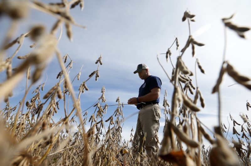 © Reuters. Agricultor anda por plantação de soja em Minooka, Ilinóis, EUA