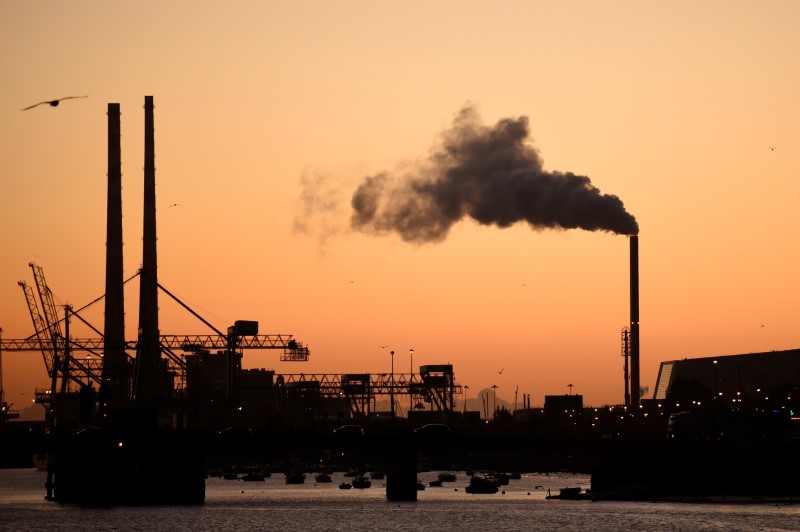 © Reuters. FILE PHOTO: A bird flies over Dublin Port at sunrise in Dublin