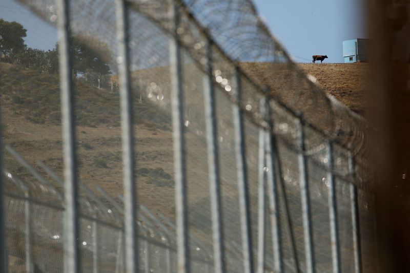 © Reuters. Detenidos 10 de los 600 inmigrantes que saltaron la valla en Ceuta en julio