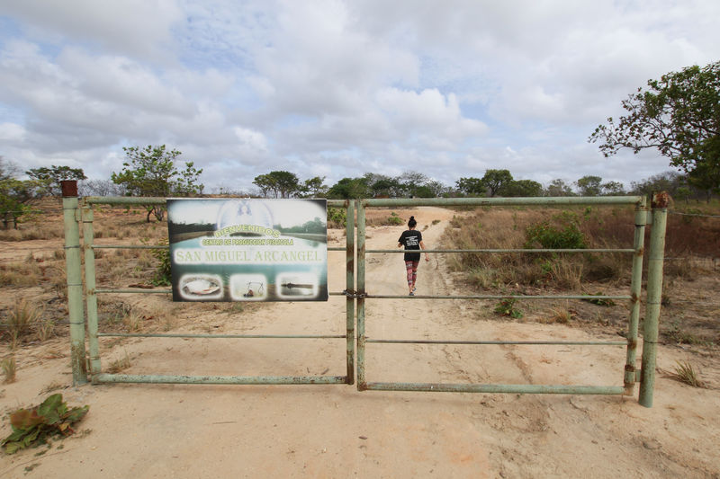 © Reuters. A woman walks close to the fence of an abandoned fish farm near Atapirire