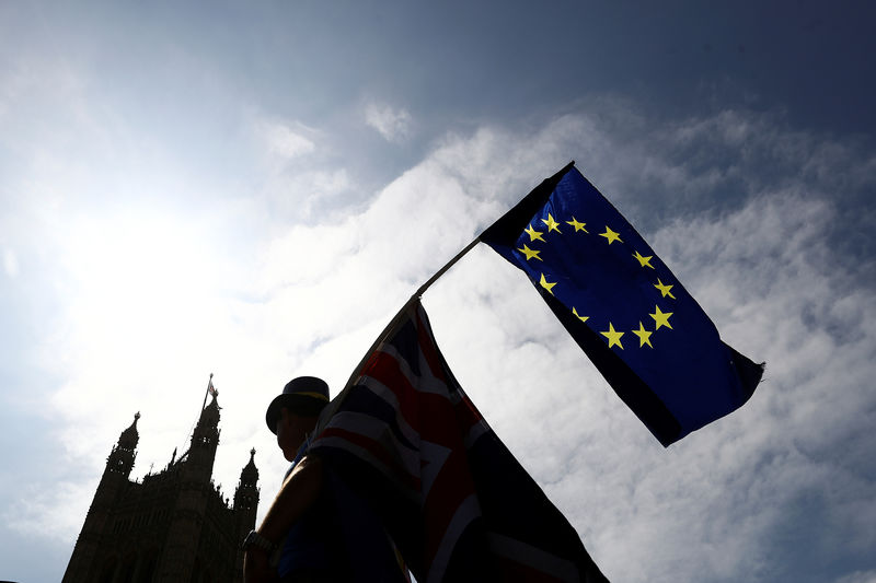 © Reuters. An anti-Brexit protester waves an EU flag opposite the Houses of Parliament in London