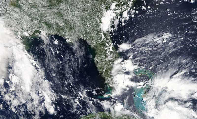 © Reuters. Tropical Storm Gordon is pictured nearing Florida, U.S. in this NASA satellite handout photo