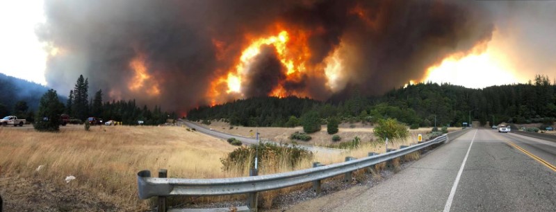 © Reuters. رجال الإطفاء يكافحون حرائق الغابات بكاليفورنيا
