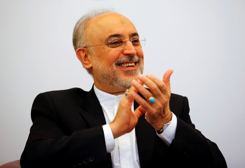 © Reuters. مسؤول نووي: إيران تكمل إقامة منشأة لبناء أجهزة الطرد المركزي