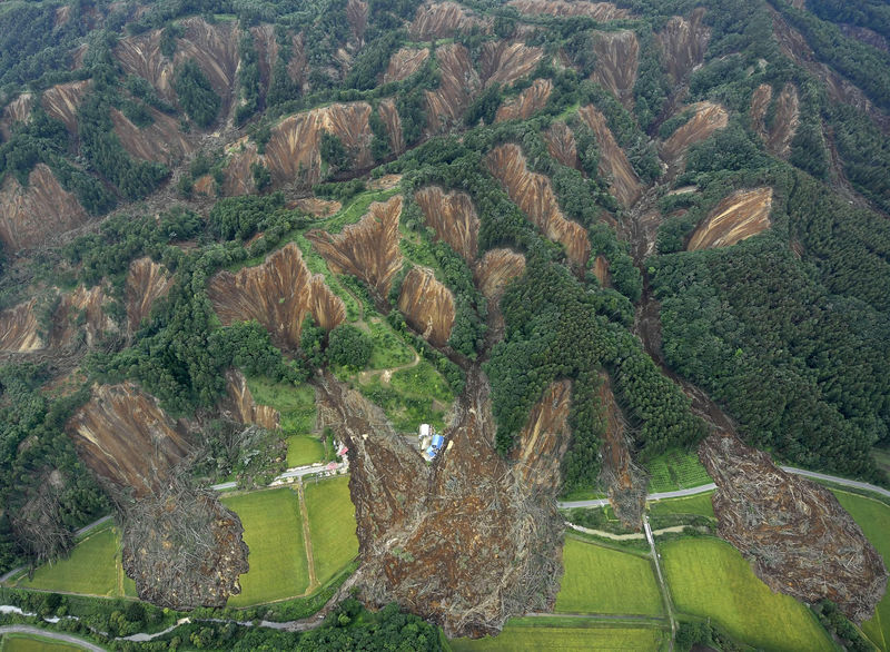 © Reuters. Landslides caused by an earthquake are seen in Atsuma town