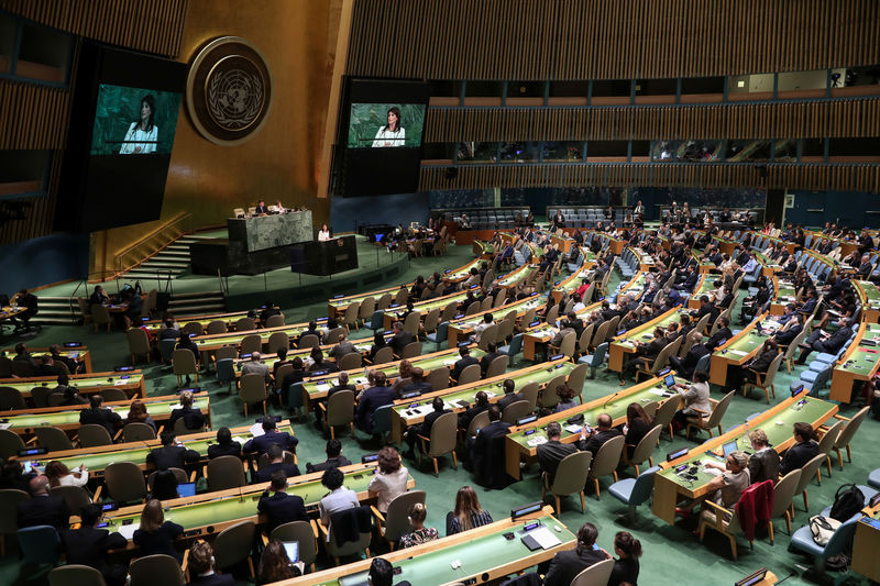 © Reuters. L'assemblea generale Onu dello scorso giugno