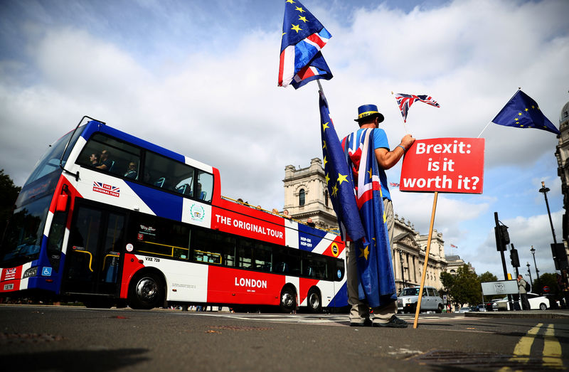 © Reuters. An anti-Brexit demonstrator waves flags outside the Houses of Parliament, in London