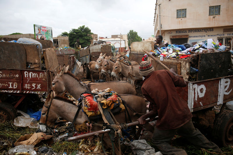 © Reuters. في باماكو.. الحمير في الخطوط الأمامية في محاربة القمامة