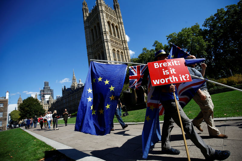 © Reuters. Pro-EU demonstrators protest outside parliament in Westminster London