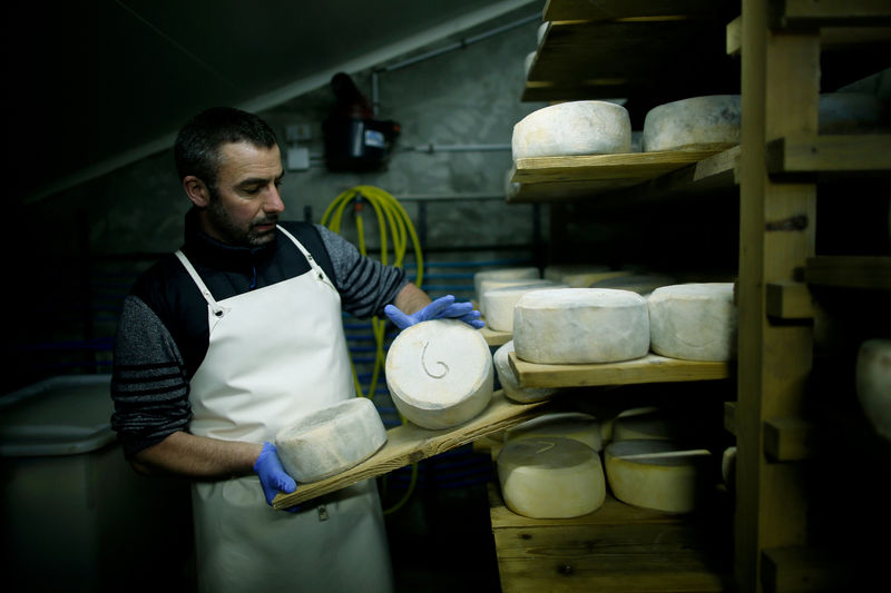 © Reuters. FILE PHOTO: French farmer Cedric Briand inspects cheese that ages in a storage room at a farm in Plesse