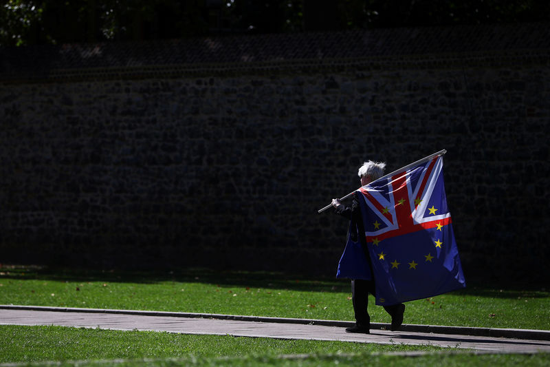 © Reuters. Pro-EU demonstrators protest outside parliament in Westminster London