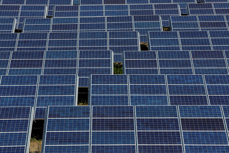 © Reuters. FILE PHOTO: Solar panels at the Urbasolar photovoltaic park in Gardanne, France