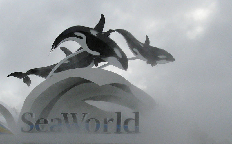 © Reuters. FILE PHOTO: The SeaWorld amusement park is pictured in Orlando