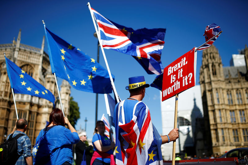 © Reuters. Pro-EU demonstrators protest outside parliament in Westminster London