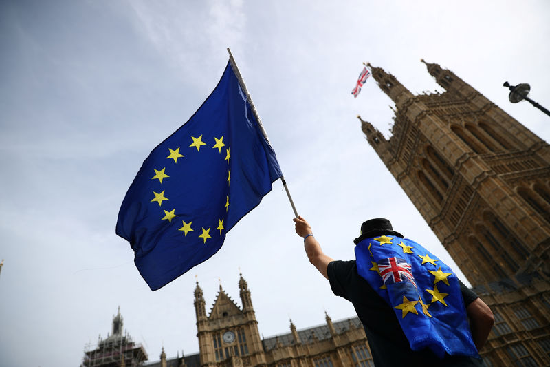 © Reuters. An anti-Brexit demonstrator waves flags outside the Houses of Parliament, in London