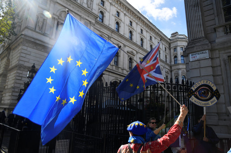 © Reuters. An anti-Brexit demonstrator holds a flag outside Downing Street in London