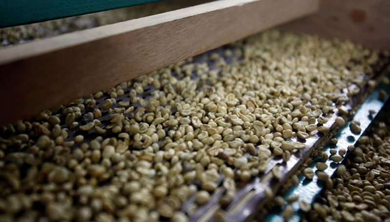 © Reuters. Grãos de café em fábrica em Hanói, Vietnã