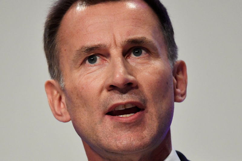 © Reuters. Britain's Foreign Secretary Jeremy Hunt addresses the Conservative Party Conference in Birmingham