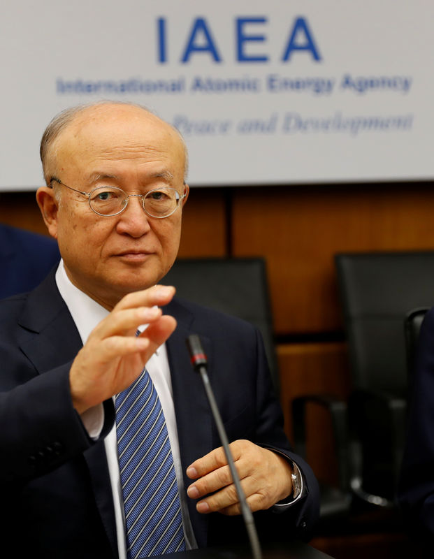 © Reuters. Amano durante reunião em Viena