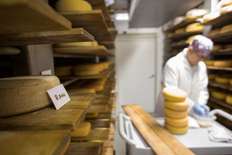 © Reuters. Cheese is tended to as it ages at Fromagerie des Cantons in Farnham