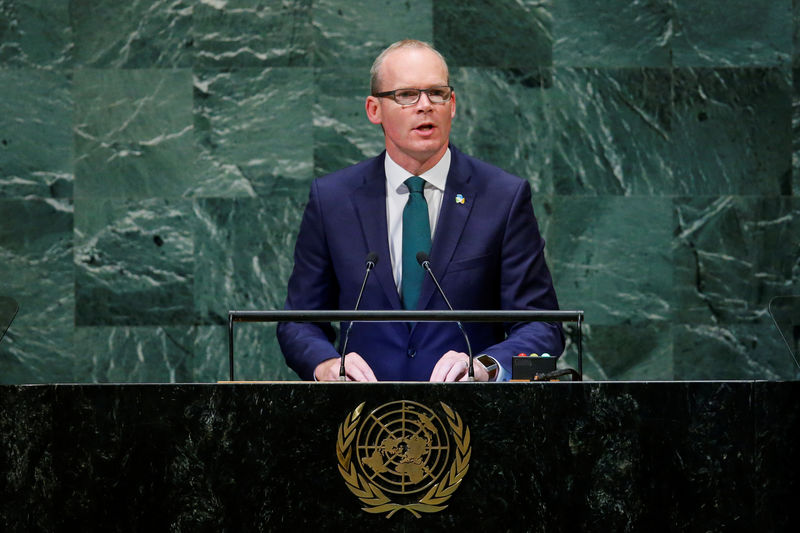 © Reuters. Irish Foreign Minister Coveney addresses the 73rd session of the United Nations General Assembly at U.N. headquarters in New York