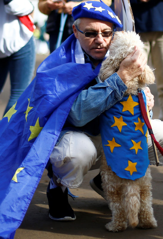 © Reuters. Anti-Brexit protesters and their dogs join a march called 'Wooferendum", in Parliament Square London