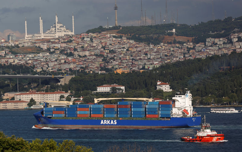 © Reuters. Turkish-flagged container ship Michel A of Arkas Holding sails in the Bosphorus, on its way to the Black Sea, in Istanbul