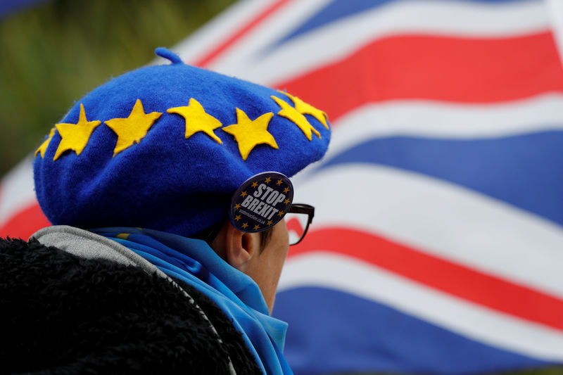 © Reuters. A man wears a beret designed to resemble the EU flag during an anti-Brexit demonstration on the first day of the Conservative Party Conference in Birmingham