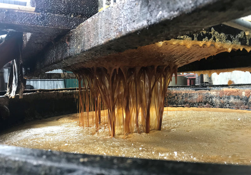 © Reuters. Used cooking oil that was collected are filtered to remove impurities at FatHope Energy's facility in Shah Alam