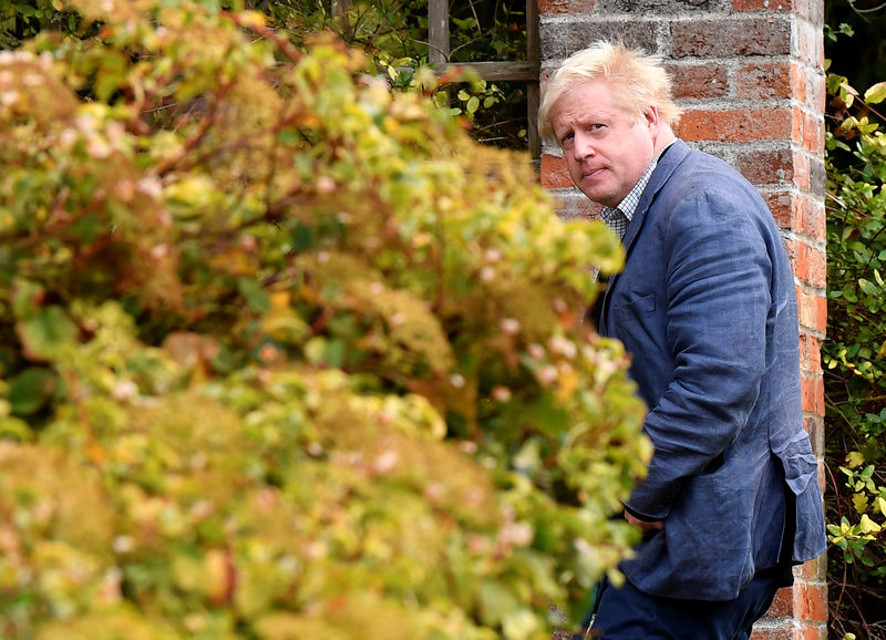 © Reuters. Conservative MP Boris Johnson walks through his garden at his home near Oxford