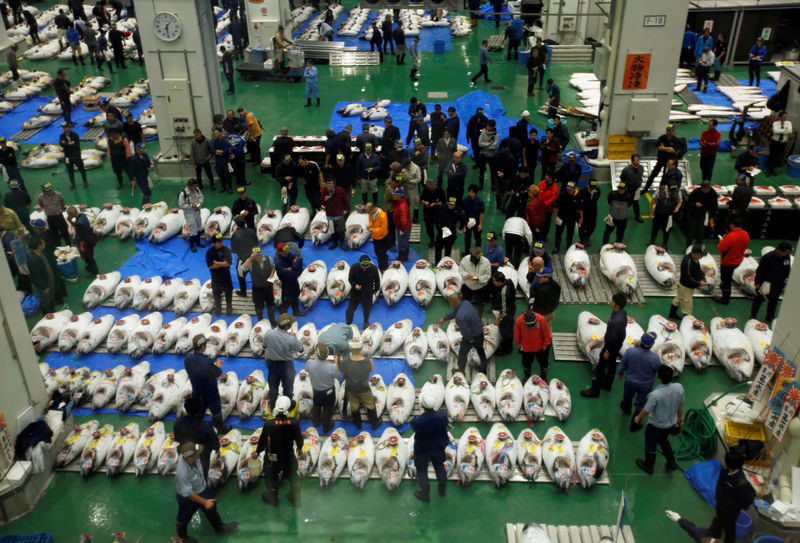 © Reuters. Visão geral de mercado de peixes de Tsukiji, em Tóquio, Japão